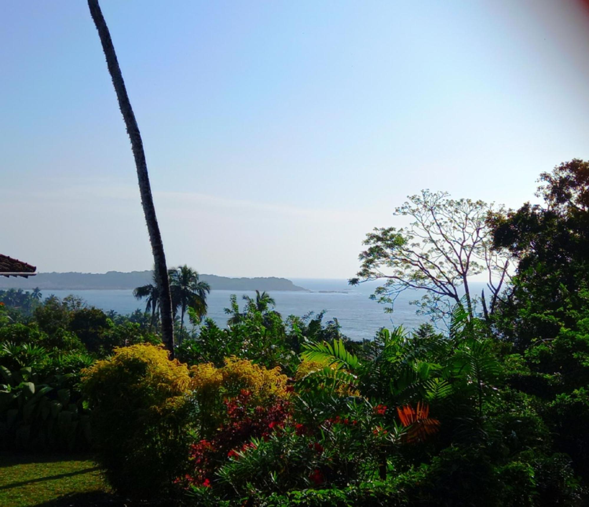 Blue Ocean Tree House Hiriketiya Villa ดิคเวลลา ภายนอก รูปภาพ