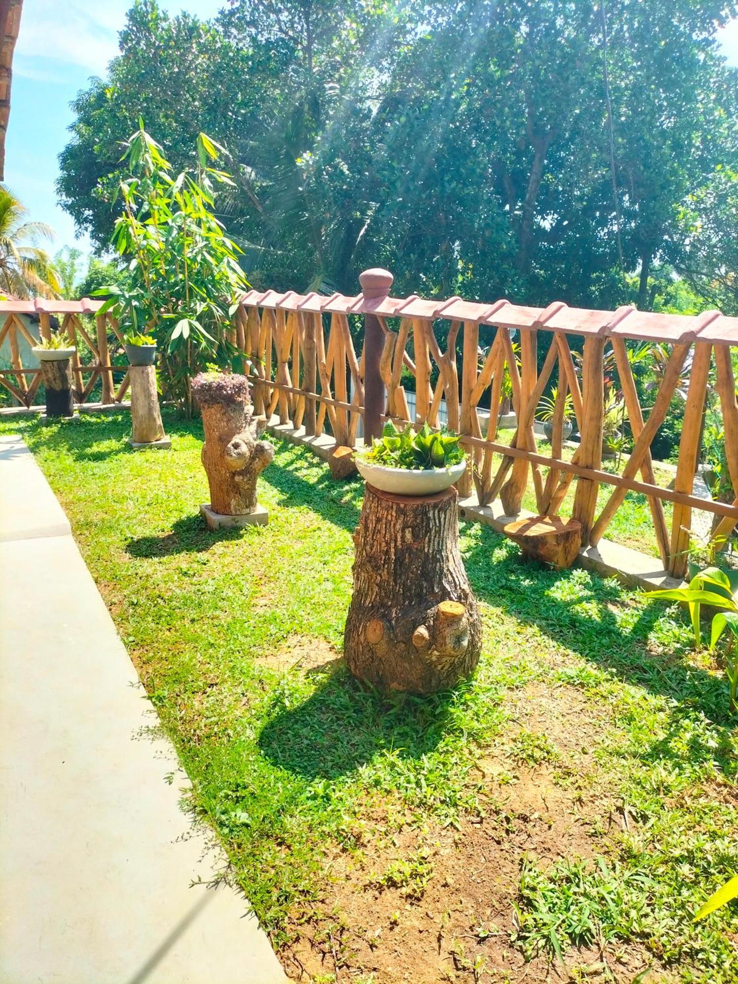 Blue Ocean Tree House Hiriketiya Villa ดิคเวลลา ภายนอก รูปภาพ